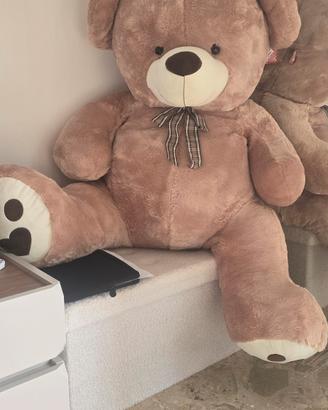 Orso  teddy