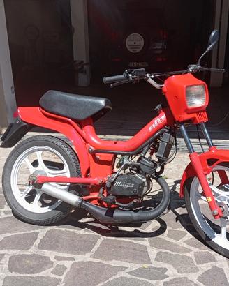 Malaguti fifty