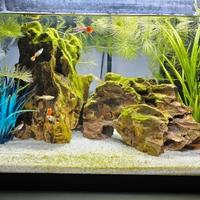 ACQUARIO BAMBINI PESCIOLINI 