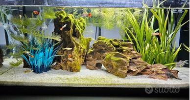 ACQUARIO BAMBINI PESCIOLINI 