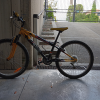 Mountain bike Bottecchia 24