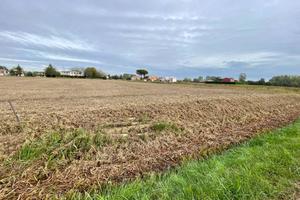 Terreno di 3320 m² a Camponogara