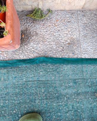 rete per raccolta olive 
