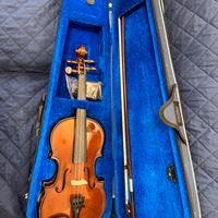 Violino