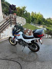 Honda dominator