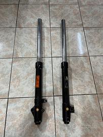 Coppia forcelle Paioli Beta RR 125 / 50 (2008)
