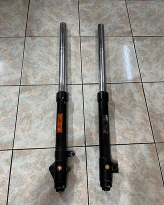 Coppia forcelle Paioli Beta RR 125 / 50 (2008)