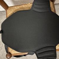 Paraschiena equitazione