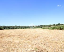 TER. AGRICOLO A POMEZIA