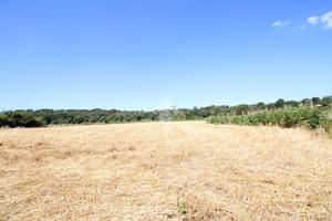 TER. AGRICOLO A POMEZIA