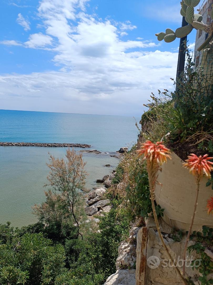 Apartment in Vieste, Foggia - Altro