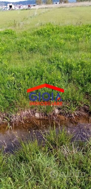 Terreno di 4000 m² a Sessa Aurunca - Vista 2