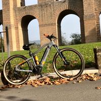 emtb e-bike haibike MTB 29 M