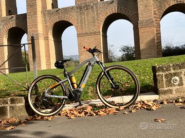 emtb e-bike haibike MTB 29 M