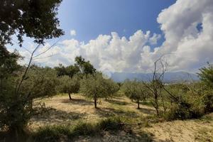 TER. RESIDENZIALE A MONTESARCHIO