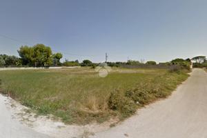 TER. AGRICOLO A FRANCAVILLA FONTANA