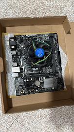 MB Asus PRIME B250M-K e CPU Intel(R) i7-6700k 4GHz