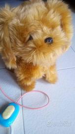 simpatico peluche cagnolino