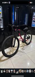 Bici c100
