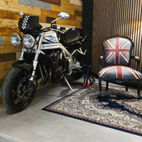 Speed triple T509 Restomod