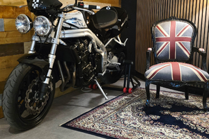 Speed triple T509 Restomod