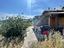 Immagine 14