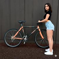 Bicicletta vintage Made in U.S.A. TREK 8700 PRO