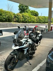 Triumph Tiger 1215 Alpine Edition SE