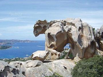 Una Settimana all'anno in sardegna o dove vuoi tu