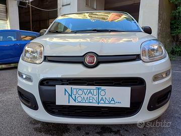 FIAT Panda 1.0 FireFly S&S Hybrid Icon 5°Posto A