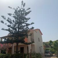 Appartamento Giglio di mare