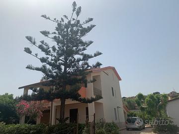 Appartamento Giglio di mare