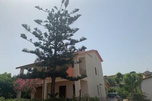 Appartamento Giglio di mare