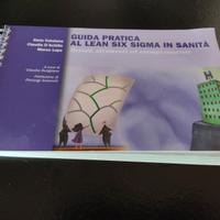 Guida pratica al Lean Six Sigma