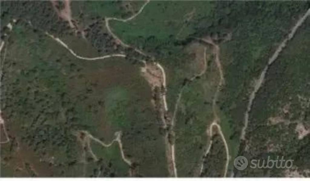 Immobile in asta di 88450 m² a Zagarise - Vista 2