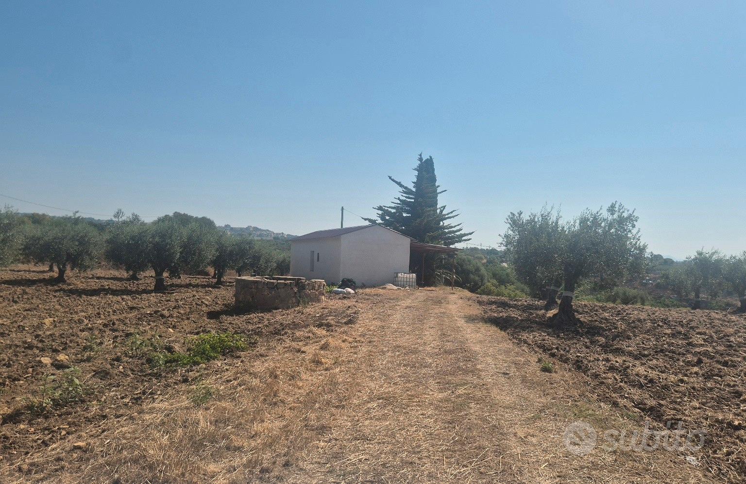 Oliveto con un fabbricato buono e un rustico da - Vista 5