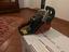 Immagine 6