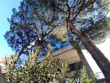 CENTRO DIREZIONALE ISOLA A/7