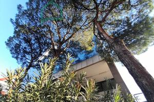 CENTRO DIREZIONALE ISOLA A/7