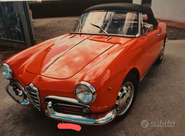 Alfa romeo Giulietta spider