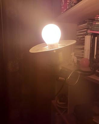lampada da lettura con pinza