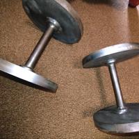 coppia di manubri 11kg cadauno 