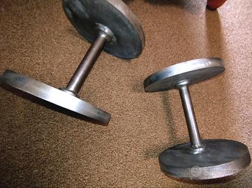 coppia di manubri 11kg cadauno 