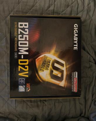 Scheda madre Gigabyte B250M-DV2 socket 1151