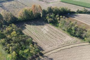 TER. AGRICOLO A CASTELFRANCO VENETO