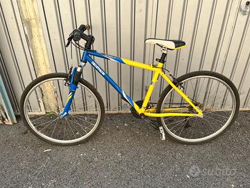 Bici uomo