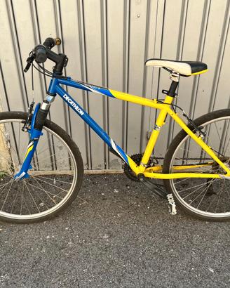 Bici uomo