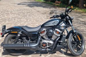 HARLEY DAVISON NIGHTSTER (RH975)