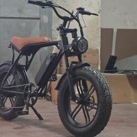 fat bike e bike bici elettrica