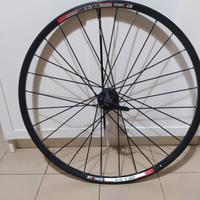 Cerchio mtb  26  DTSWISS xr 4.20